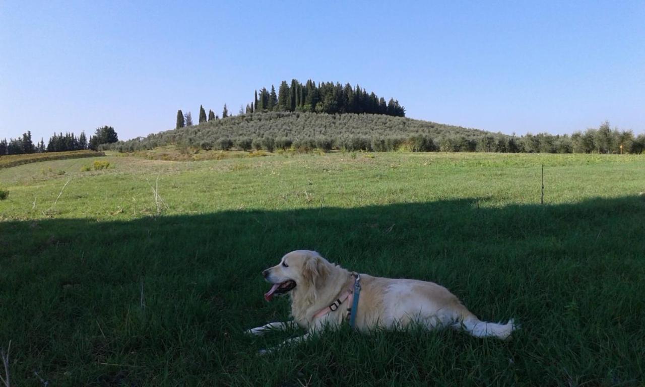 Dolce Cuore Luxe Apartment Chianti Florence Male Romantyczne Mieszkanie San Donato in Poggio Extérieur photo